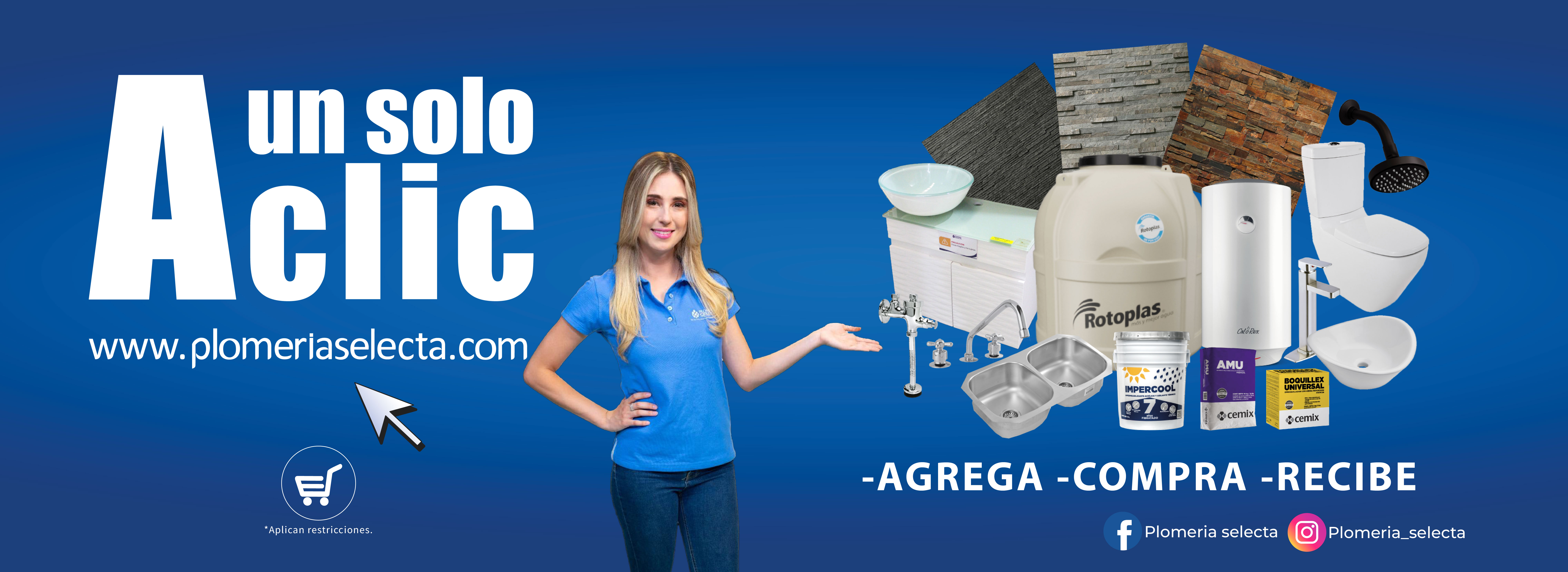 Plomeria selecta banners